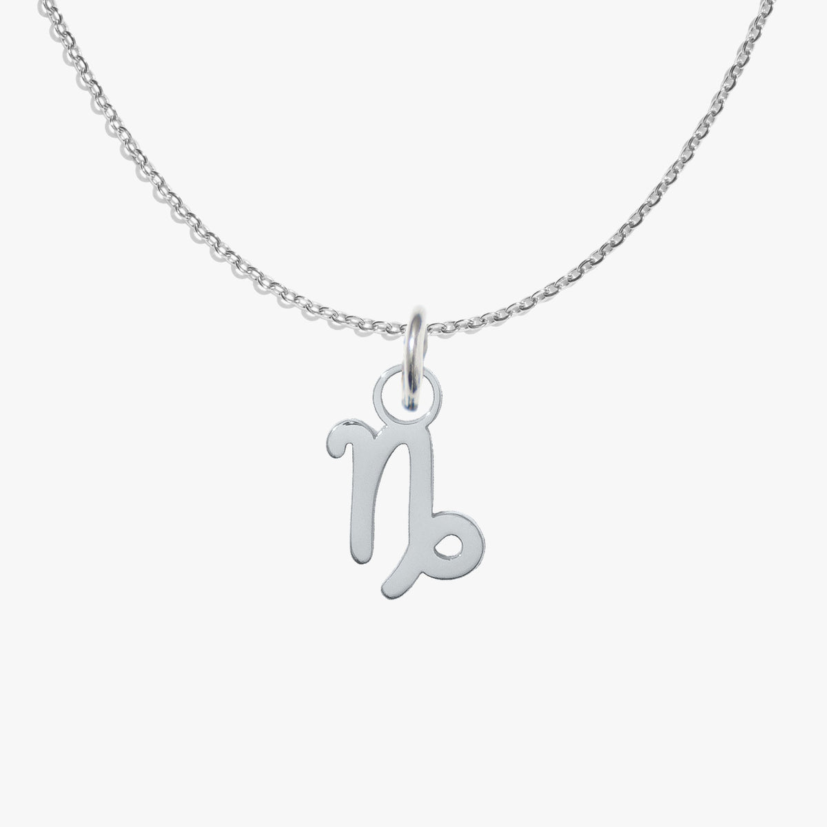 Capricorn, silver, pendant #pdp