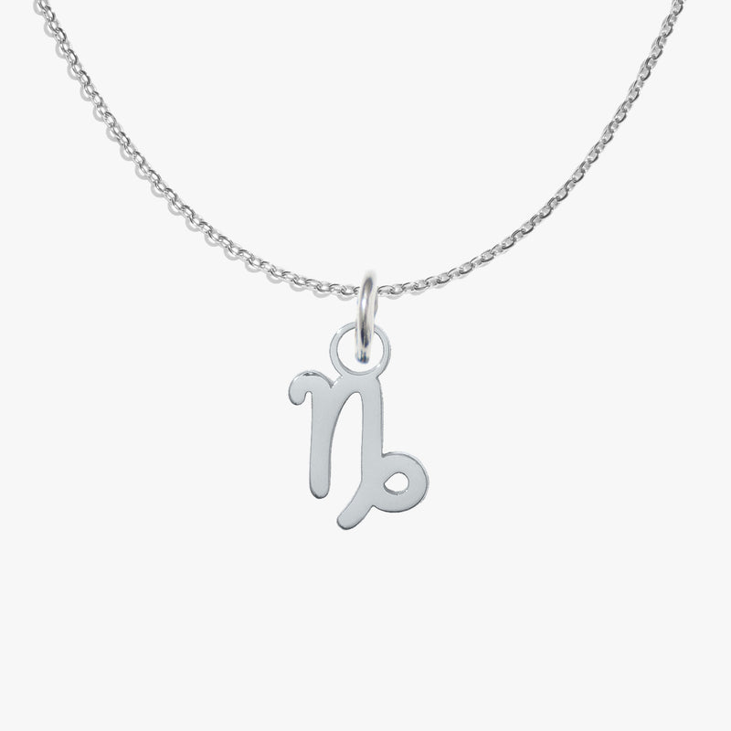 Capricorn, silver, pendant #pdp