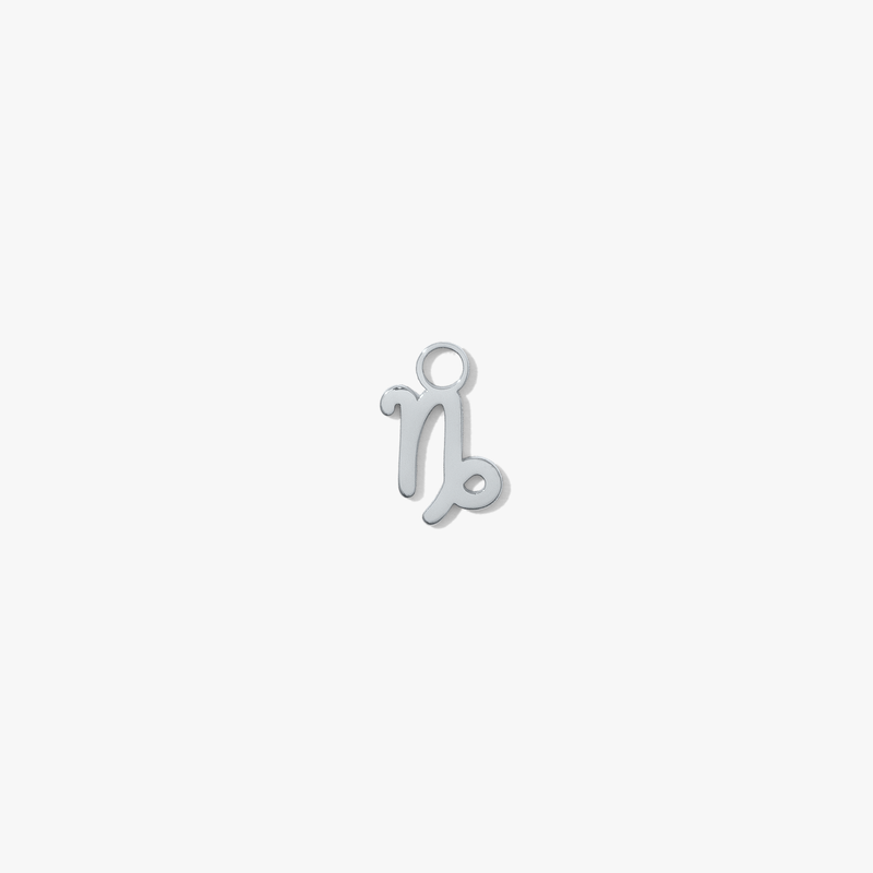capricorn, silver #pdp