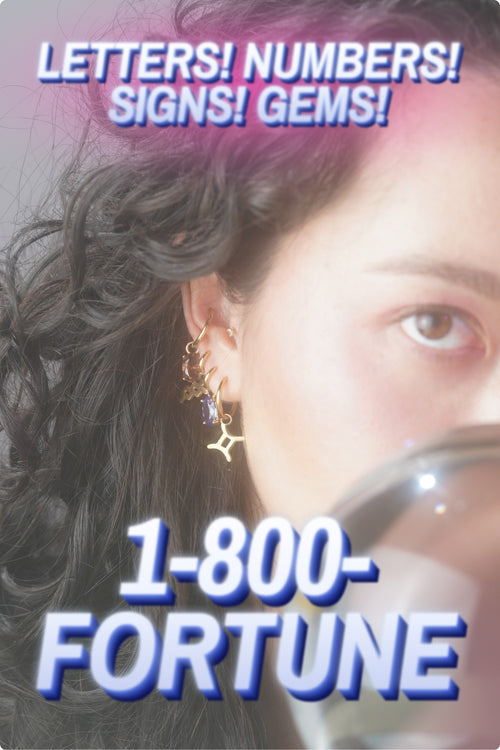 in the wild — 1-800-FORTUNE letters! numbers! signs! gems!, gold, silver