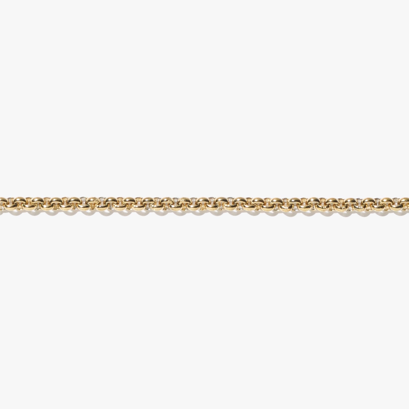 Londyn Thick Rolo Necklace main image 0